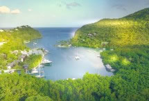 Windstar Sale!