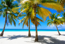 Virgin Voyages Sale!