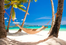 MSC Cruises Sale!