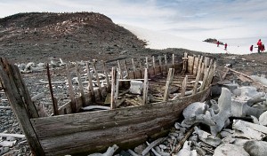 Remnants of Whale Hunting in the Past