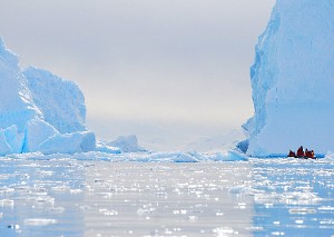 Icebergs in Cierva Cove