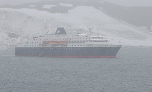 Minerva Through the Snow