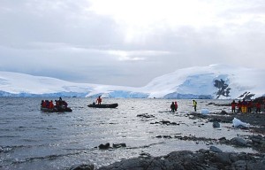 Zodiacs in Mikkelsen Harbour