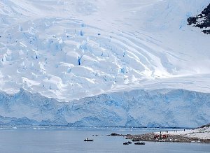 Neko Harbour