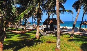 Diani Beach Resort