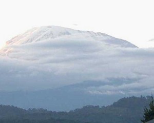 Kilimanjaro