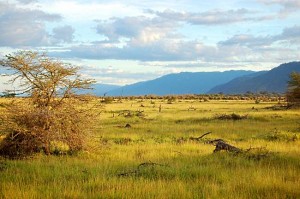 Great Rift Valley