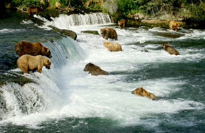 enchanted lake katmai national park