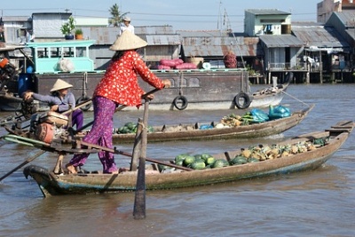 Language: Vietnamese